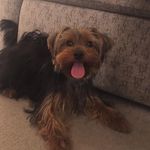 Beverley Lane - @bibiann73 - Instagram