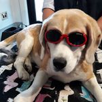 Beverley Lang - @beverley.lang.9 - Instagram