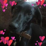 Beverley Law - @law_family_4 - Instagram