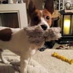 Beverley Lawrence - @beverley2624 - Instagram