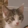 Beverley Lawrence - @kitten_jimmy - TikTok