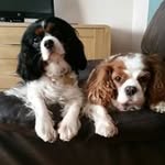 Beverley Lyons - @beverley.lyons.927 - Instagram