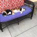 Beverley McLean - Facebook