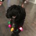 Beverley Miles - Facebook