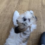 Beverley Oliver Lewis - @beverleyolewis - Instagram