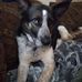 Beverly Peck - Facebook