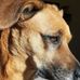 Beverly Peck - Facebook