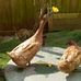 Beverley Phillips - Facebook