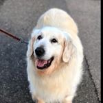 Beverley Phillips - @bmp68 - Instagram