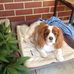 Beverley Phillips - Facebook