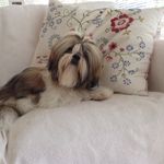 Beverley Pratt - @beverley1pratt - Instagram