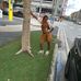 Beverly Pratt - Facebook