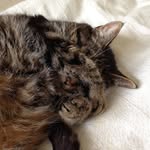 Beverley Sharp - @littleoldme189 - Instagram