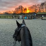 Beverley Shepherd - @shepherdbeverley - Instagram