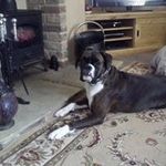 Beverley Shepherd - @beverley_shepherd_ - Instagram