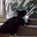 Beverly Silverman - Facebook