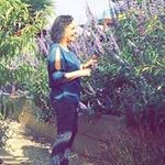 Beverly Silverman - @bevsilver434 - Instagram