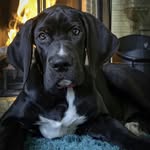 Beverley Simpson - @beverley.simpson.18 - Instagram