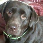 Beverley Hawthorn Slater - @hawthornslater - Instagram