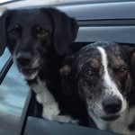 Beverley Snell - @beverley_snell - Instagram