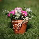 Beverley Thomas - @henleyflowers - Instagram