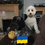 Beverley Thomas - Facebook