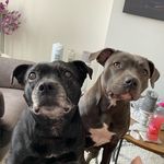 Beverley Thomas - @beverleythomas61 - Instagram