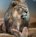 Beverly Thornton - Facebook
