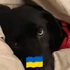 Beverly Thornton - @beverly.thornton3 - TikTok