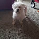 Beverly Townsend - @beviejunebug2 - Instagram
