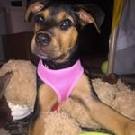 Beverly Townsend - @batownsend3 - Instagram