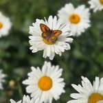 Beverley Ann Waters - @beverley_waters_57 - Instagram