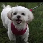 Beverley Bott Waters - @waters_beverley55 - Instagram
