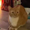 Beverly Watson - @beverly.watson86 - TikTok
