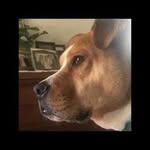 Beverly Emerson Albright - @beabrite - Instagram