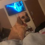 Beverly Amos - @beverly.amos.718 - Instagram