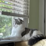Beverly Anne - Facebook