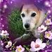 Beverly Ault - Facebook