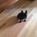 Beverly Bachand - Facebook