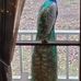 Beverly Baldwin - Facebook