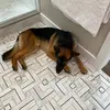 beverlybarry916 - @beverlybarry916 - TikTok