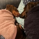 Beverly&Barry - @bev__bazza - Instagram