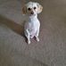 Beverly Bartley - Facebook