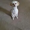 Beverly Bartley - @beverly.bartley5 - TikTok