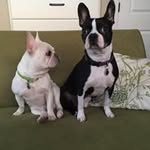 Beverly Bashore - @bdbshore - Instagram