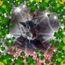 Beverly Ballinger - Facebook