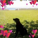 Beverly Bates - @beverly.bates.927 - Instagram