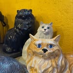 Battlecat BH - @battlecat_beverlyhills - Instagram