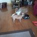 Beverly Bauer - Facebook