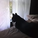 Beverly Baumgarten - @beverlybaumgarten - Instagram